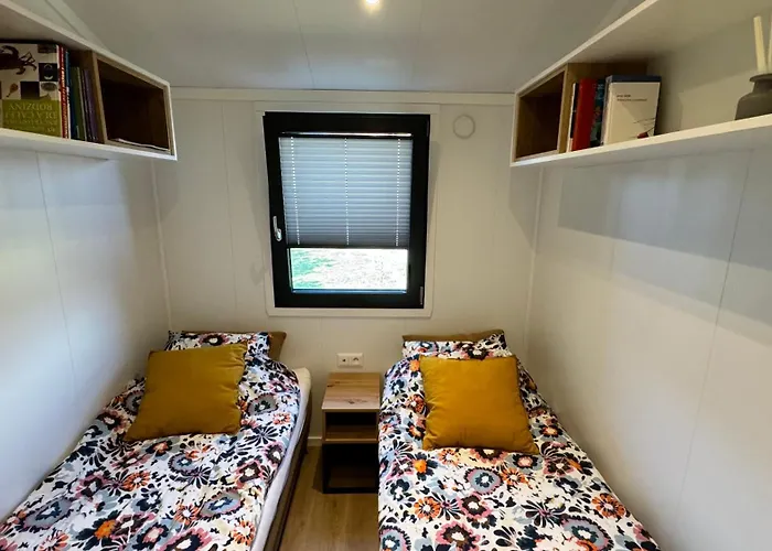 Silver Moon Na Skraju Rzeki